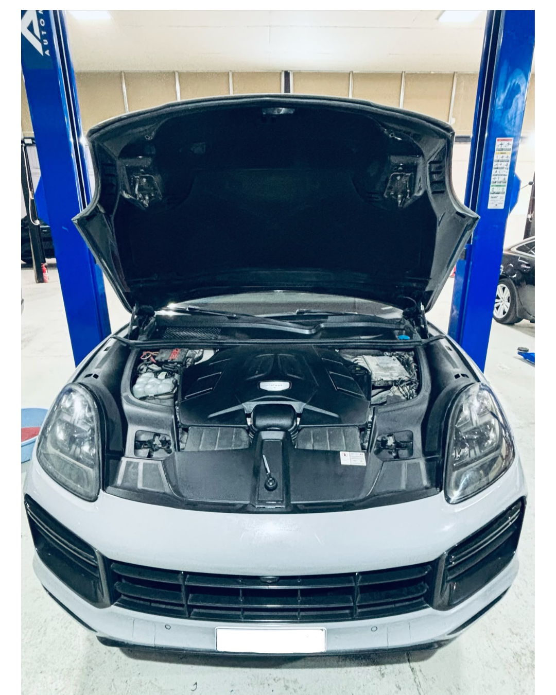 Porsche engine inspection at MOTIX Garage